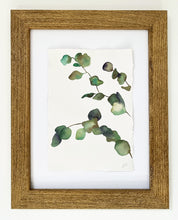 Load image into Gallery viewer, Juniper Eucalyptus