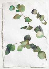 Load image into Gallery viewer, Juniper Eucalyptus