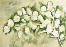 Load image into Gallery viewer, Sage Eucalyptus