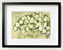 Load image into Gallery viewer, Sage Eucalyptus