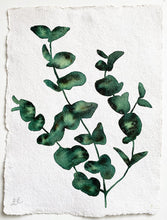 Load image into Gallery viewer, Viridian Eucalyptus