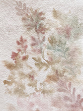 Load image into Gallery viewer, Peppered Sundrops