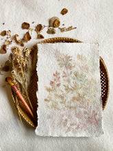 Load image into Gallery viewer, Peppered Sundrops