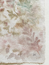 Load image into Gallery viewer, Peppered Sundrops