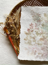 Load image into Gallery viewer, Peppered Sundrops