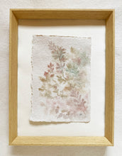 Load image into Gallery viewer, Peppered Sundrops