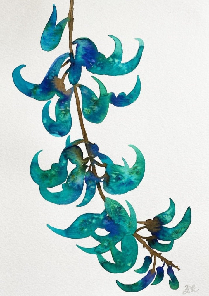 Jade Vine