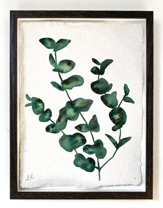 Viridian Eucalyptus